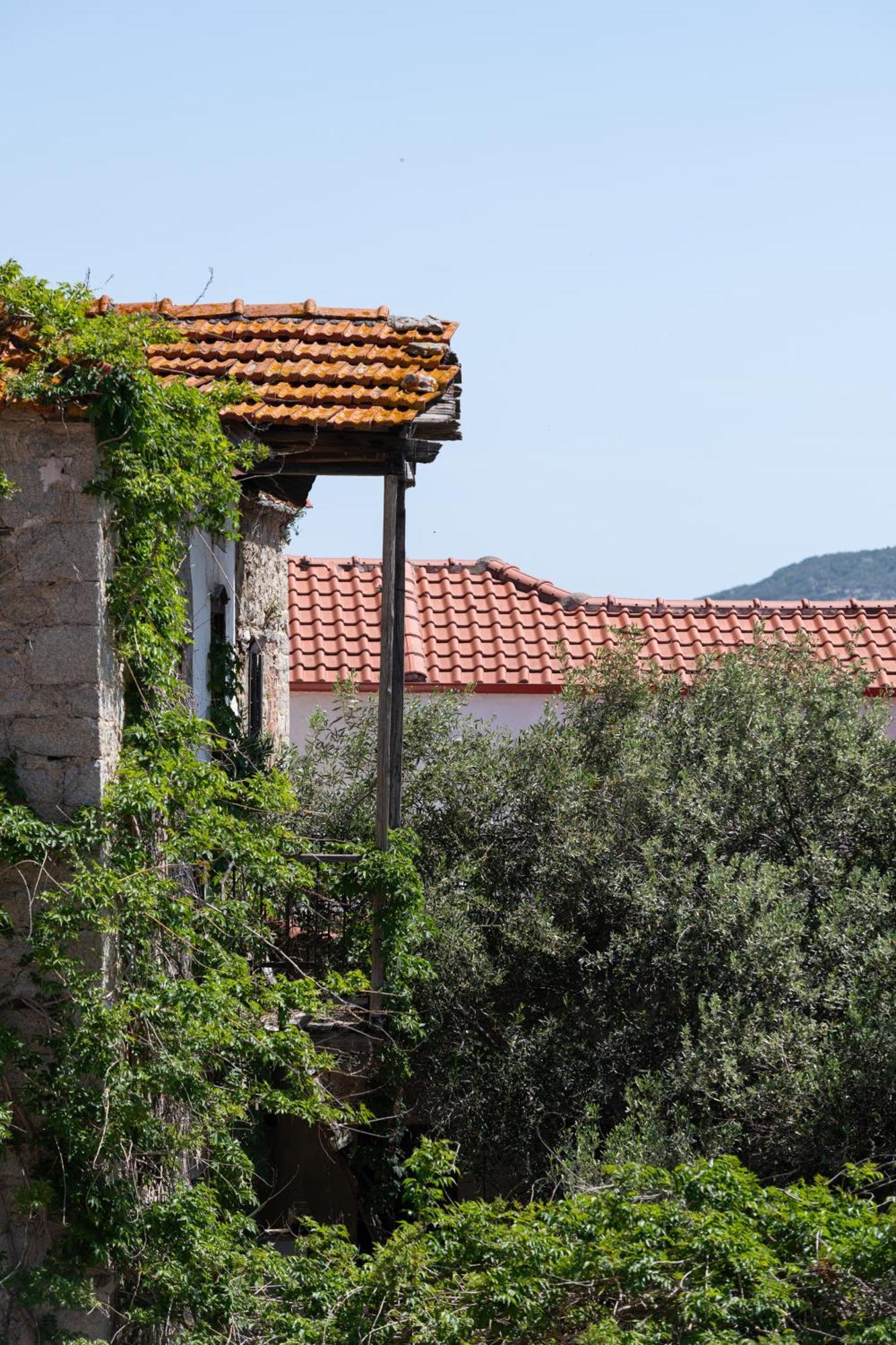 Rodi Houses Sykia Chalkidikis Ngoại thất bức ảnh